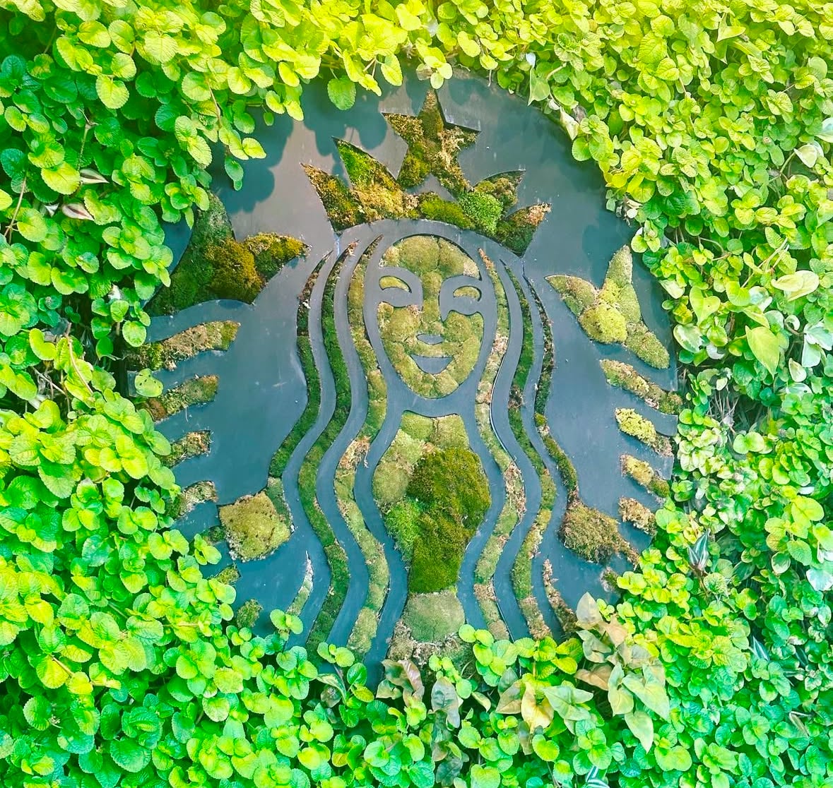Hacienda Alsacia – die Starbucks Forschungsfarm